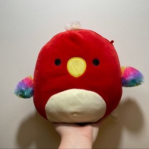 8" Paco the parrot Squishmallow